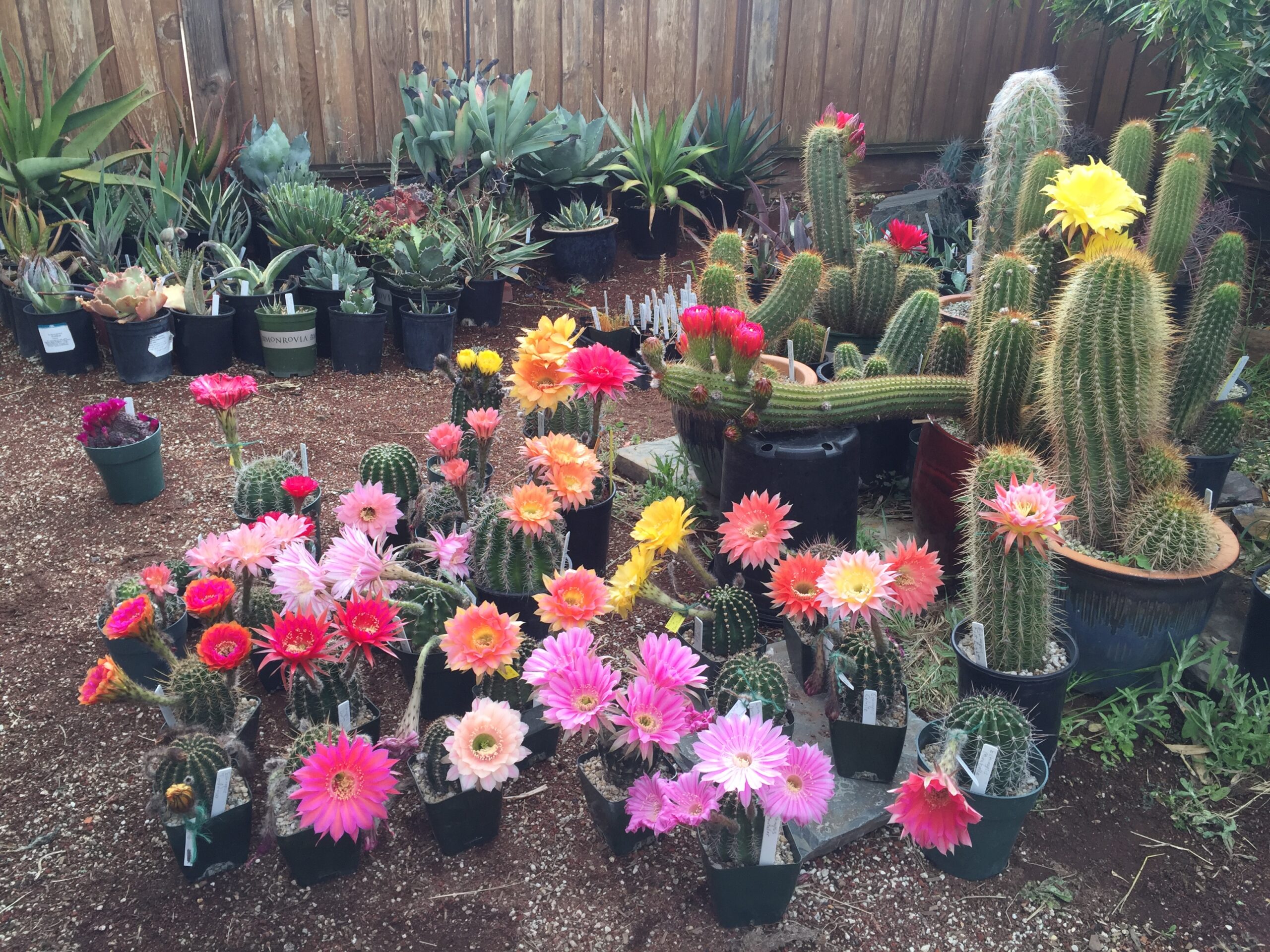 Next meeting, June 23: talk by Barry Rice