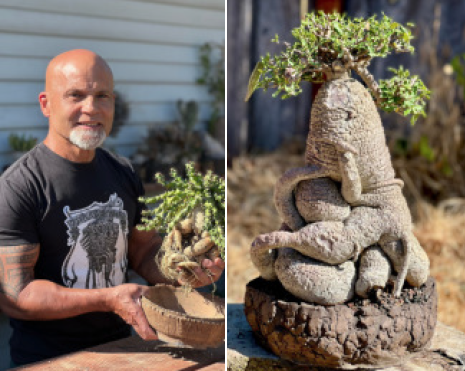 Next meeting, August 25: Caudiciforms 101 with Keith Taylor