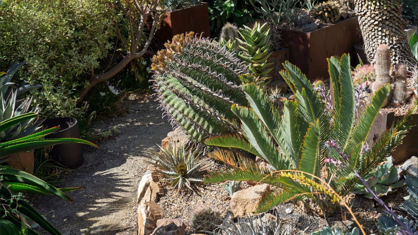 Gerhard Bock Open Garden, Sunday, Oct 19, 1-5pm