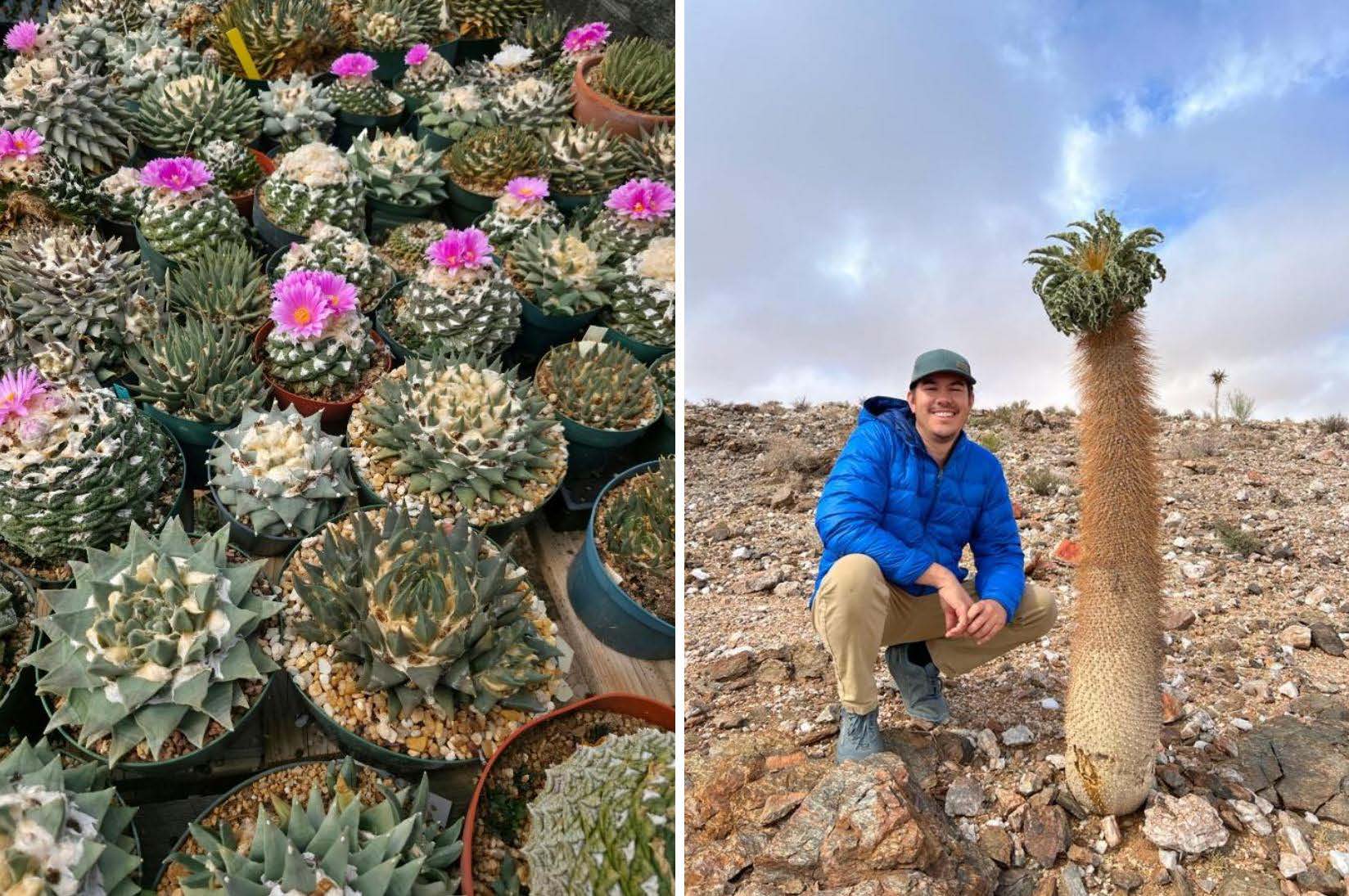 Next meeting, February 23, 2026: Plant Show & Tell with Cassidy Roberts-Yee