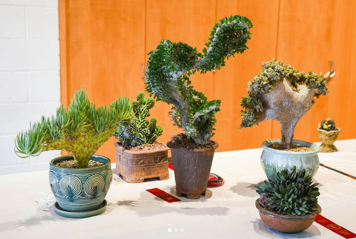 Next meeting, March 23, 2026: Getting ready for the May Show