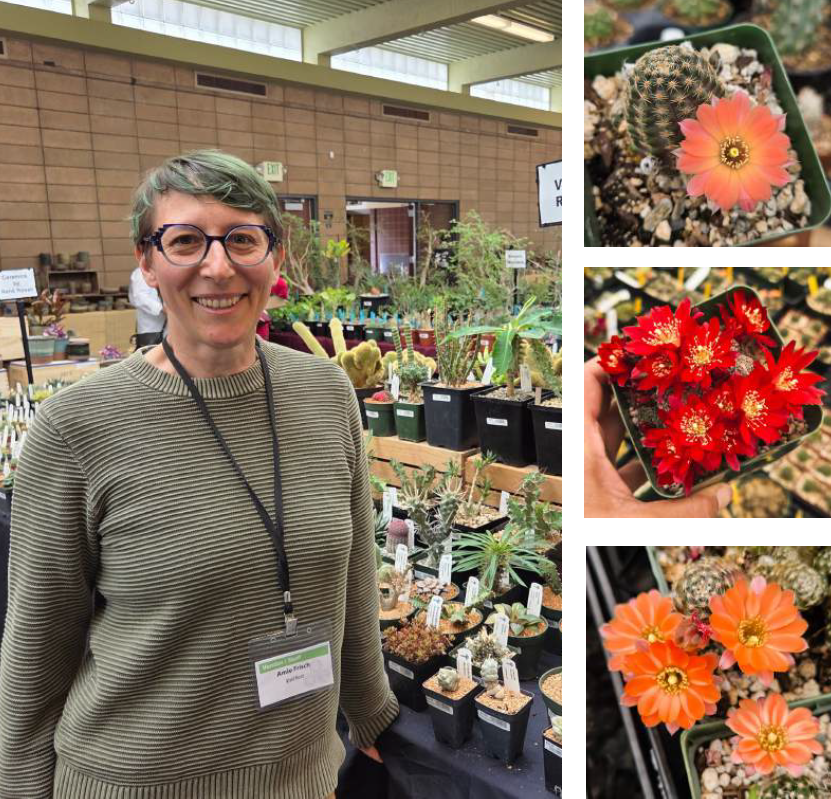 Next meeting, October 26: Amie Frisch on the genus Rebutia